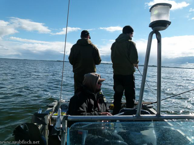 Team Raubfisch.net an den Bodden 2013